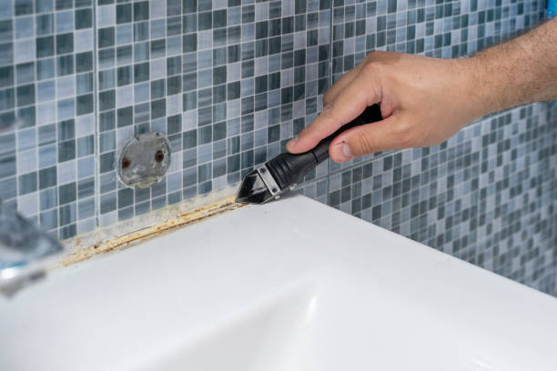 Best Mold Remediation for Schools in St Louis Park, MN