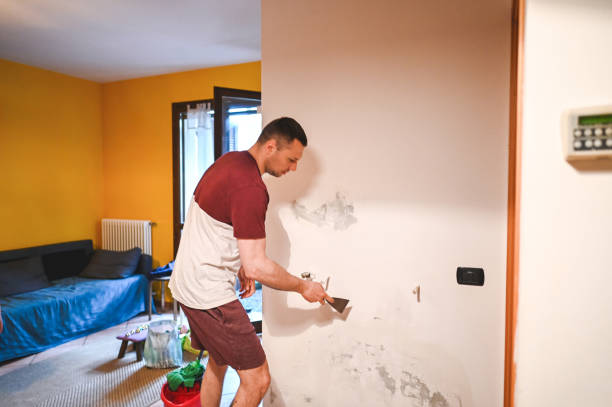 Best Emergency Mold Remediation in St Louis Park, MN